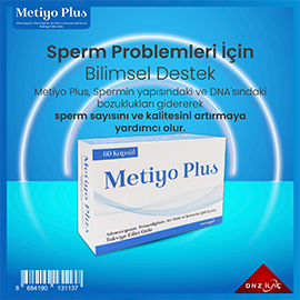Metiyo Plus